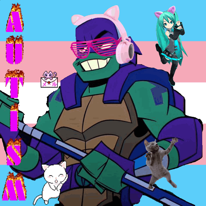 Donatello from Rise of the Teenage Mutant Ninja Turtles in front of a trans flag, with hatsune miku and a cat dancing, with two other cat gifs. the word 'AUTISM' is in pink and in flaming text, going down the left side of the pfp